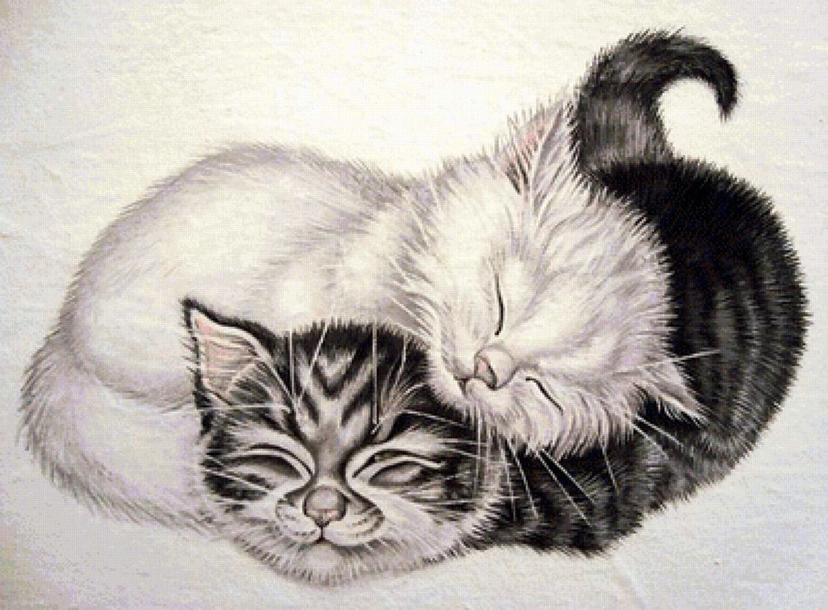 2 Кота рисунок
