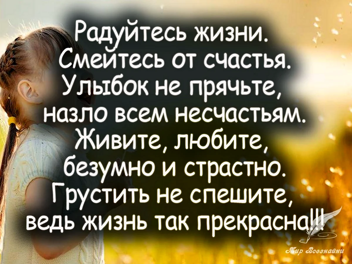 Жизнь стихи цитаты. Цитаты про счастливую жизнь. Цитаты радость жизни в картинках. Красивые высказывания о счастье. Статусы про счастье.