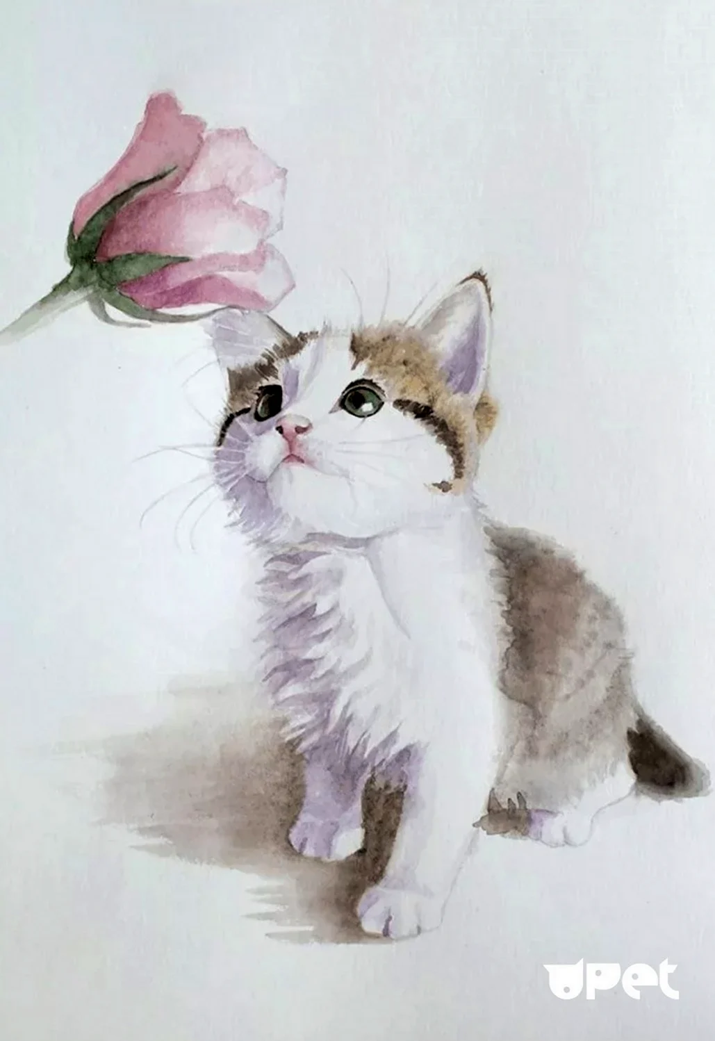 Акварельные коты Елены Базановой