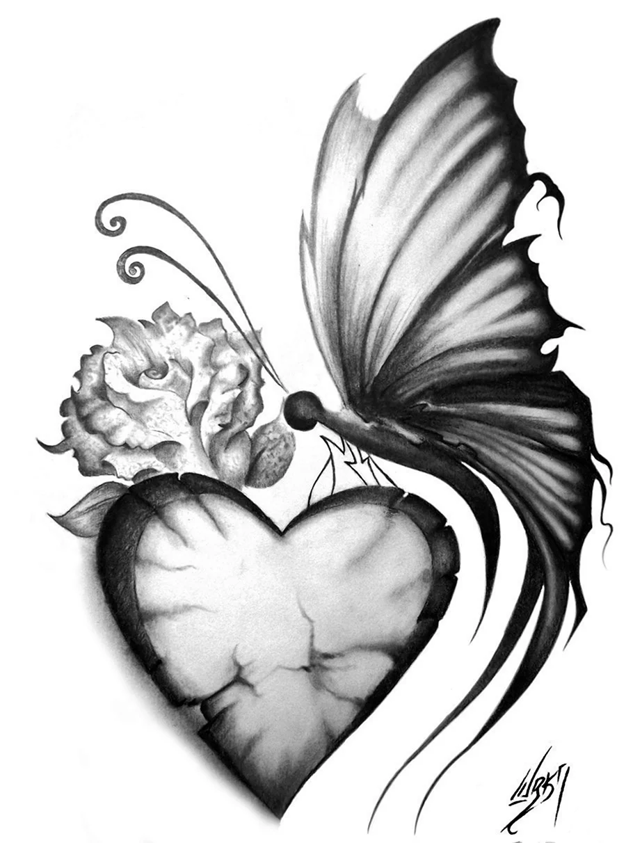 Рисунки бабочек для срисовки