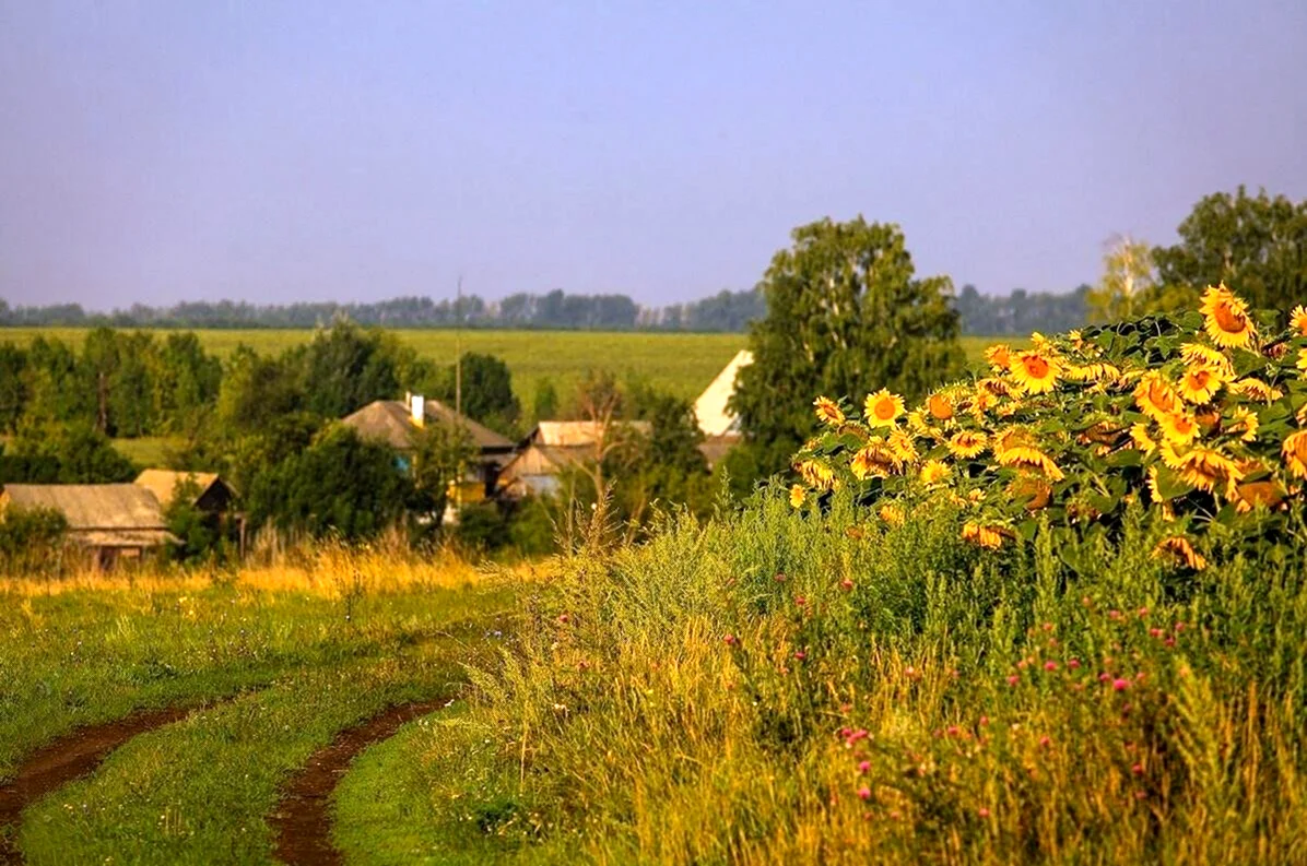 Лето в деревне (34 фото)