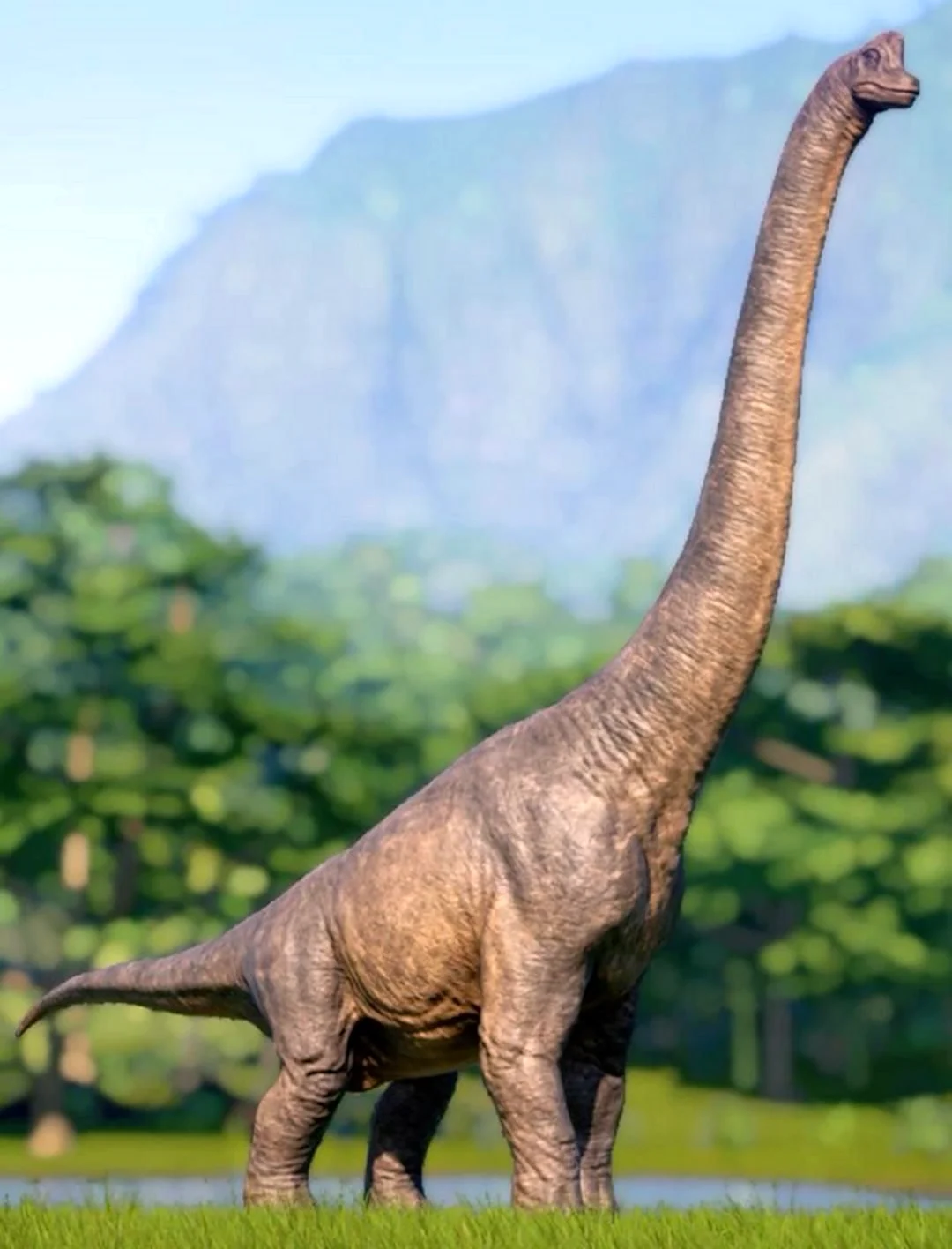 Brachiosaurus. Брахиозавр динозавр. Брахиозавр и Диплодок. Зауропод и Диплодок. Jurassic World Evolution Брахиозавр.