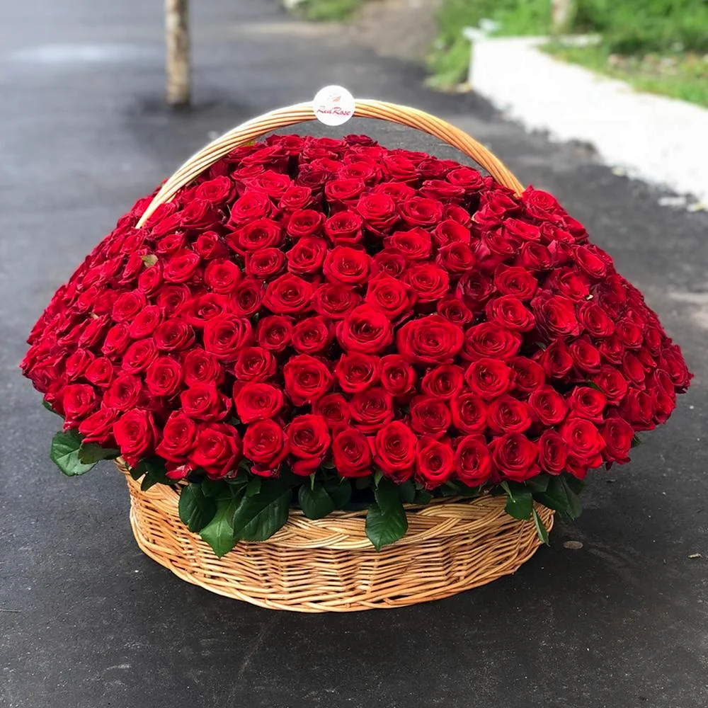 Букет 1001 роза