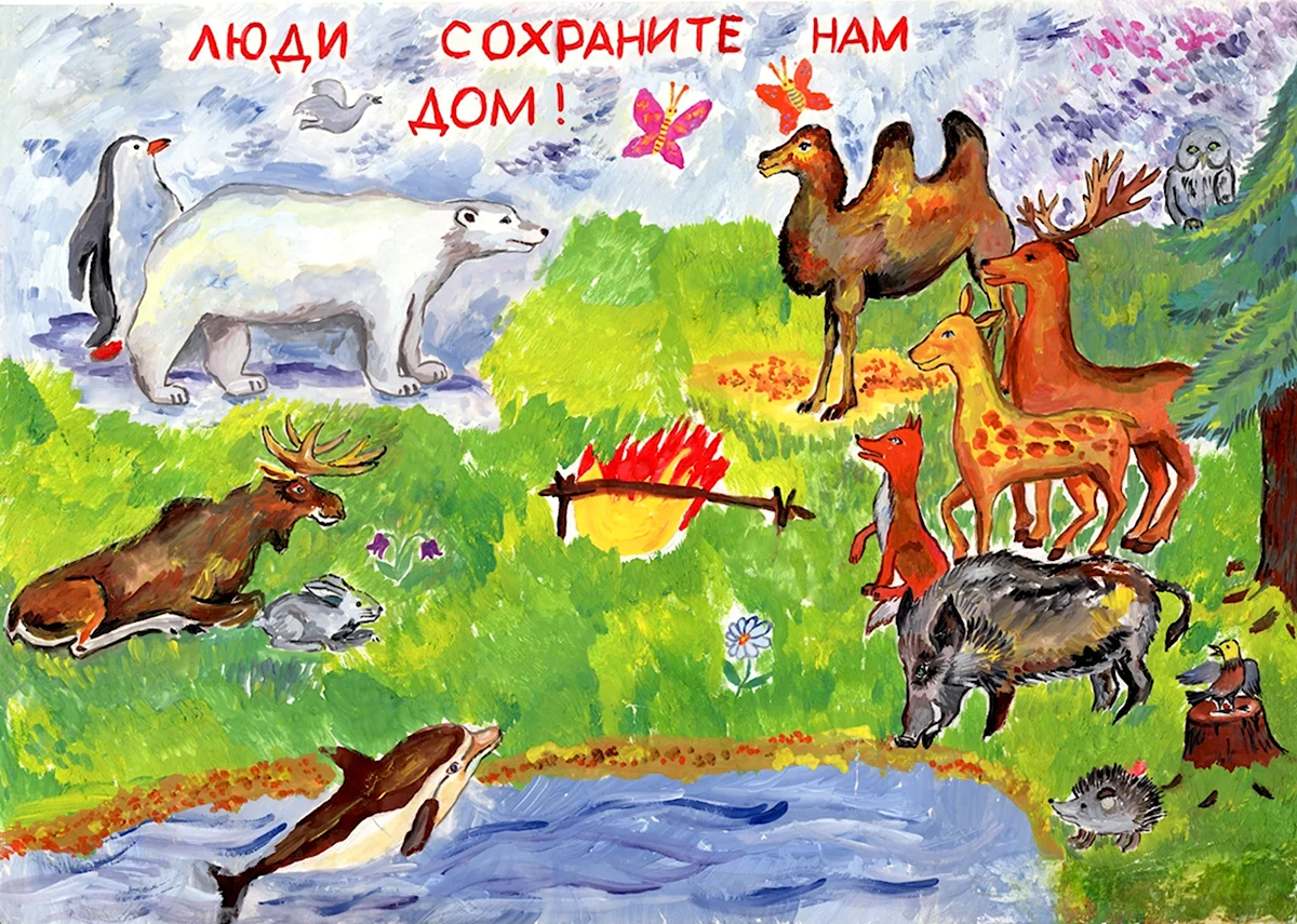 Что такое заповедник для детей