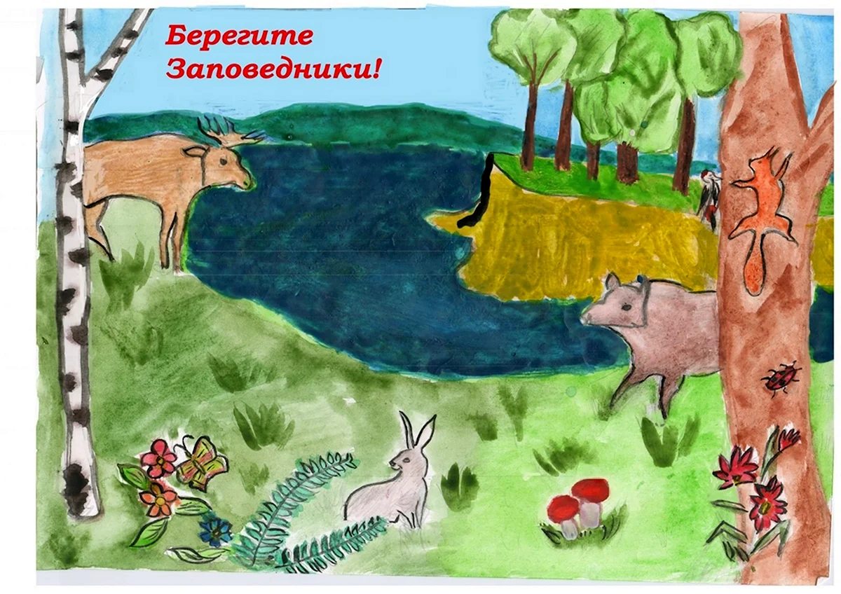 Как нарисовать Логотип заповедника - 43 детских рисунков для срисовки на тему