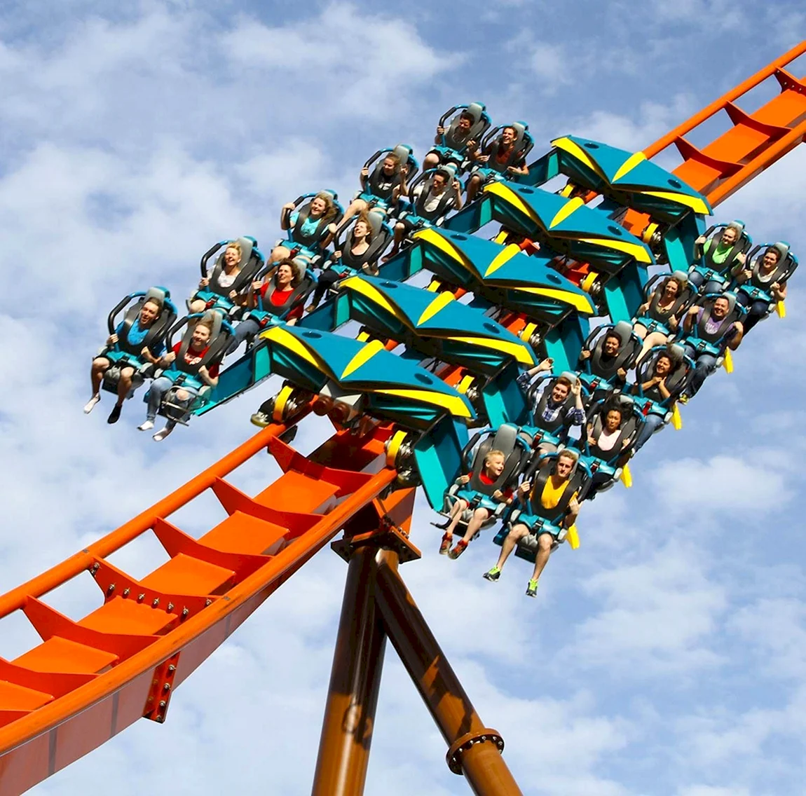 Coaster праздник