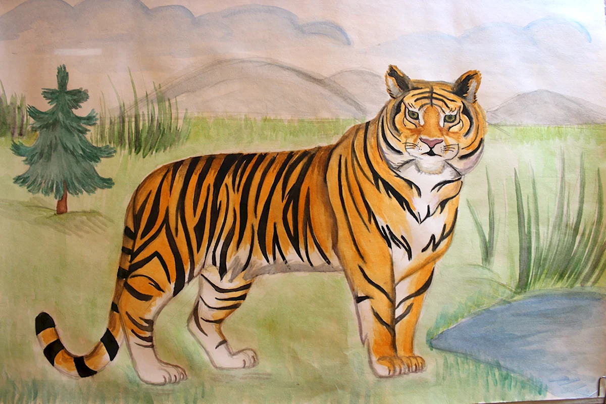 Детский рисунок тигра
