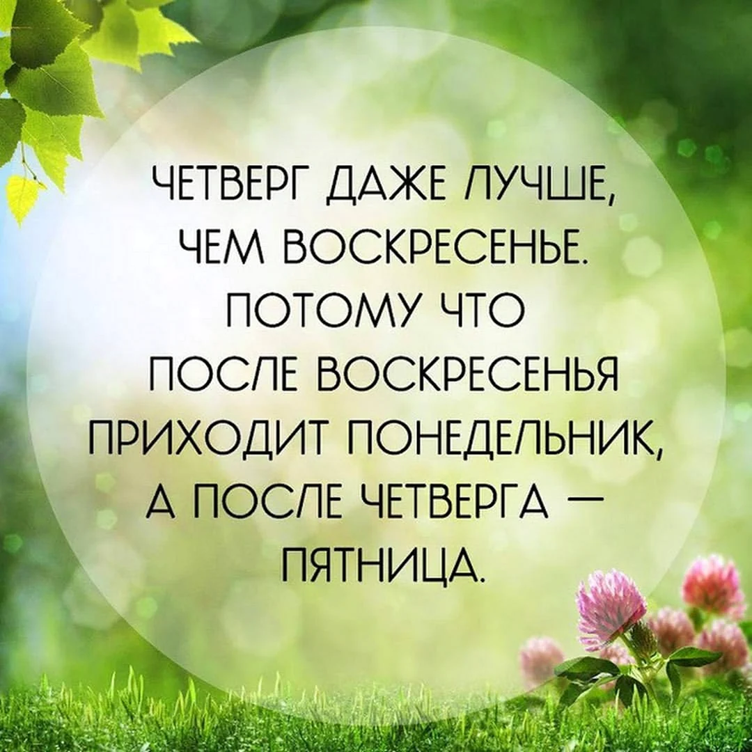 Открытка доброго четверга и хорошего настроения. Доброе утро четверга. Хорошего четверга. Смешные фразы про четверг. Пожелания с добрым утром четверг.