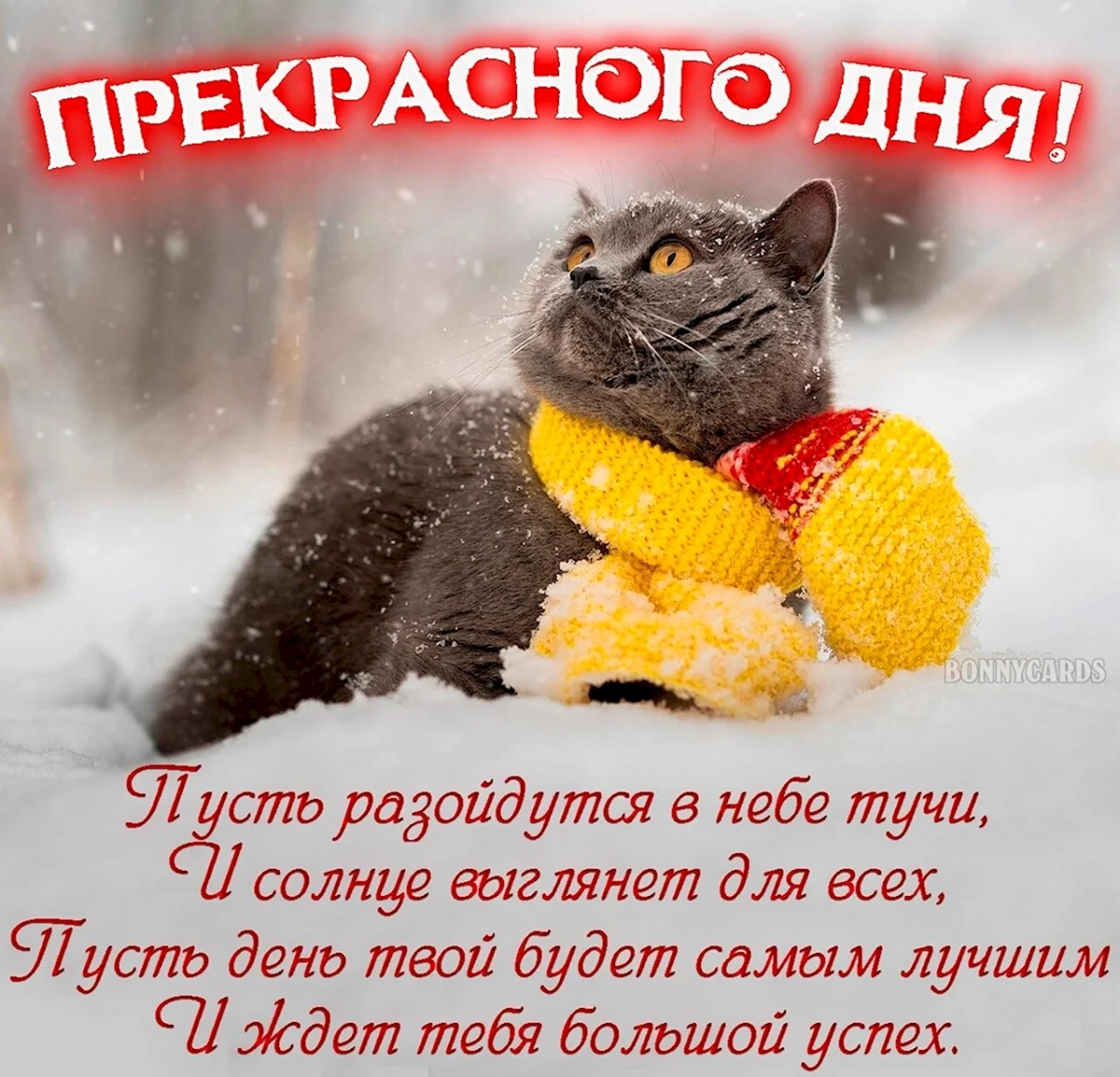 Доброе утро одевайтесь теплее