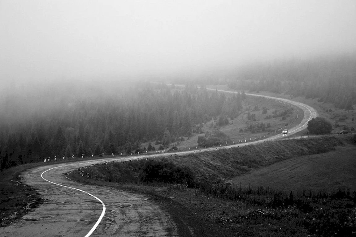 Уходящая вглубь. Дорога черно белая. Извилистая дорога. Белая дорога. Дорога в лесу.