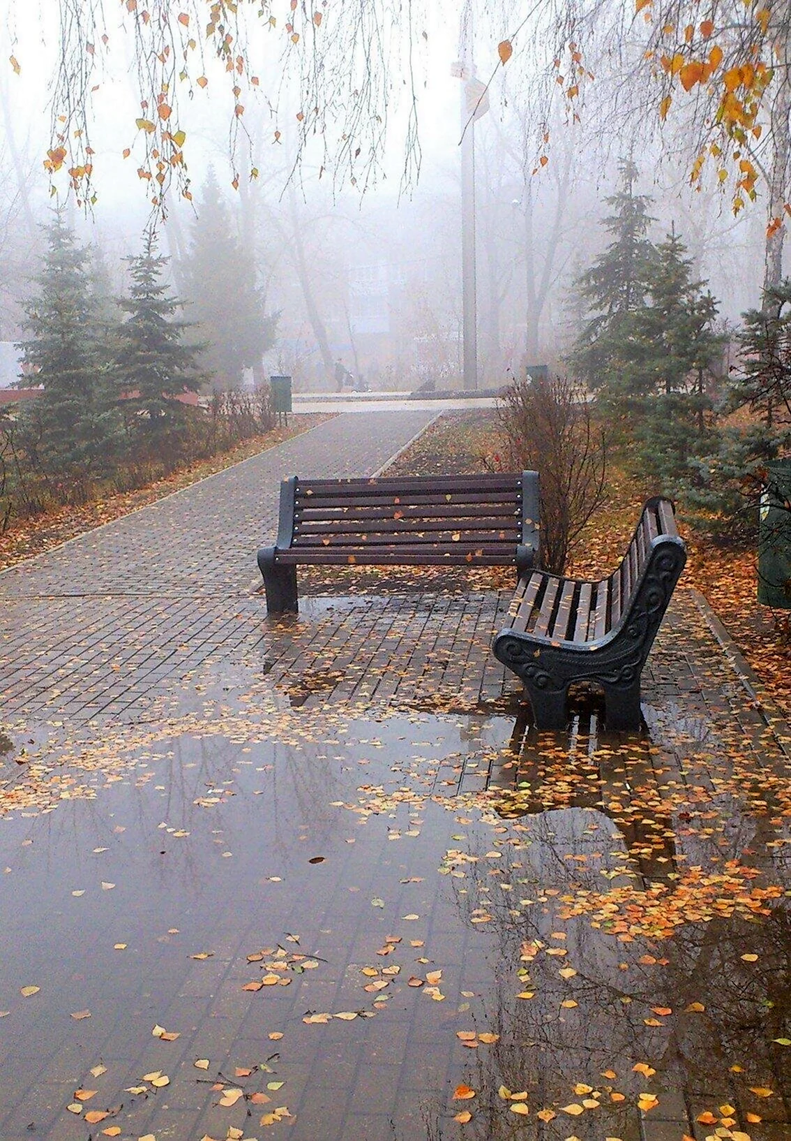 Смоет осенним дождем. Осенний дождь. Осень дождь. Пасмурный осенний день в городе. Поздняя осень.