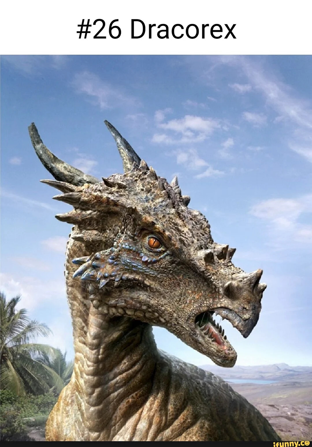 Dracorex hogwartsia