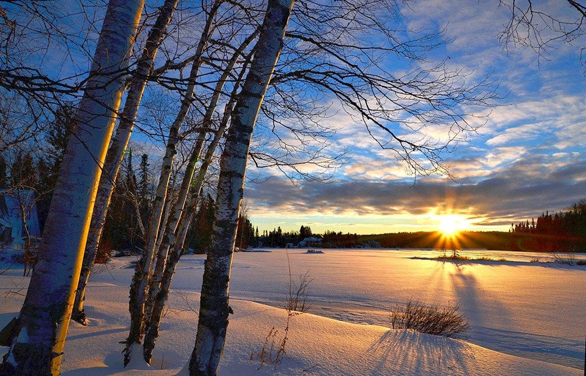 Февраль природа