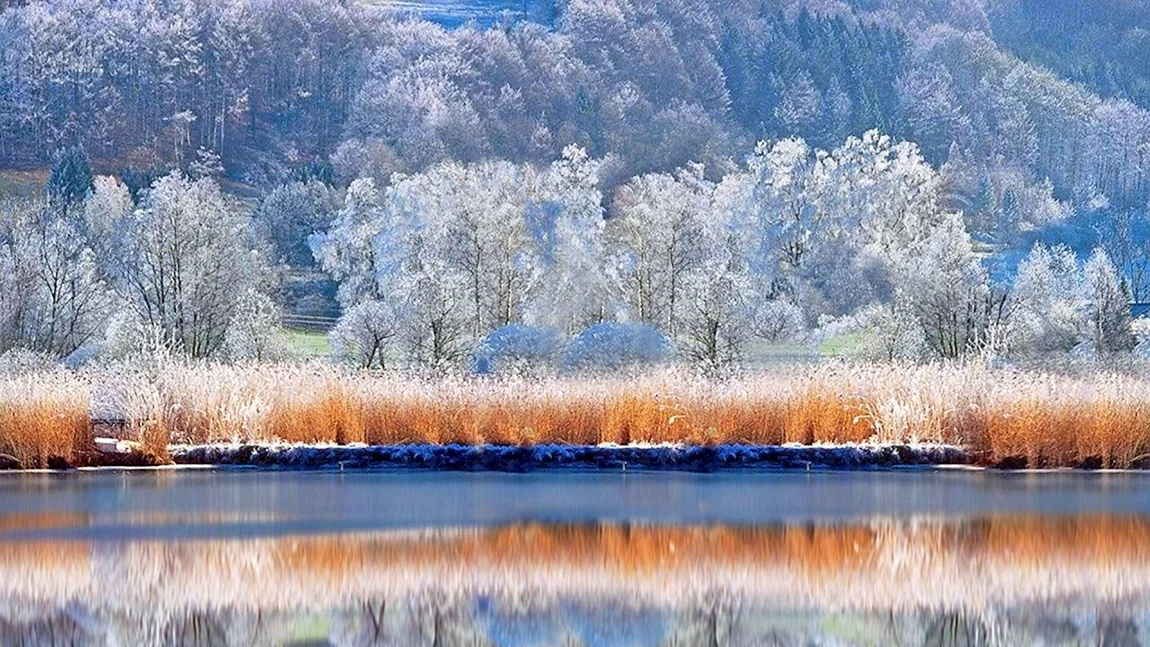 Февраль природа
