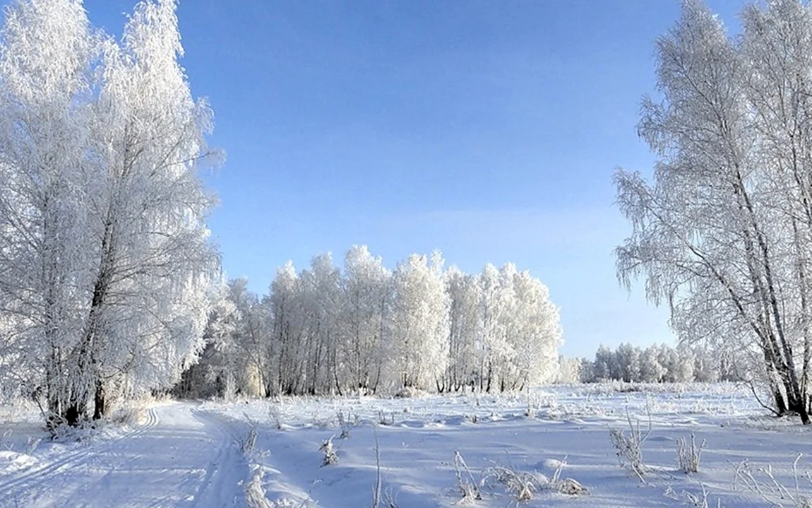Февральский пейзаж