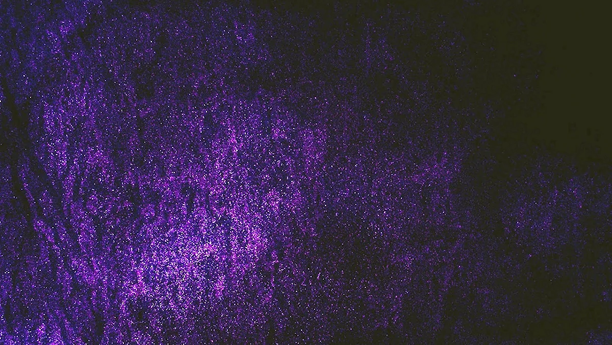 Фиолетовый фильтр для фотошопа