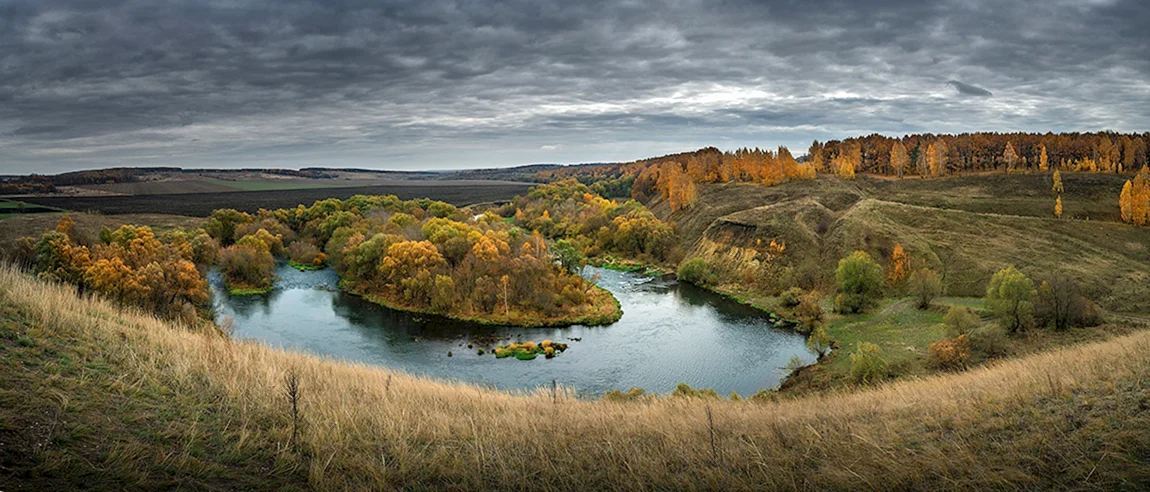 Фото КРАСИВОМЕЧЬЕ