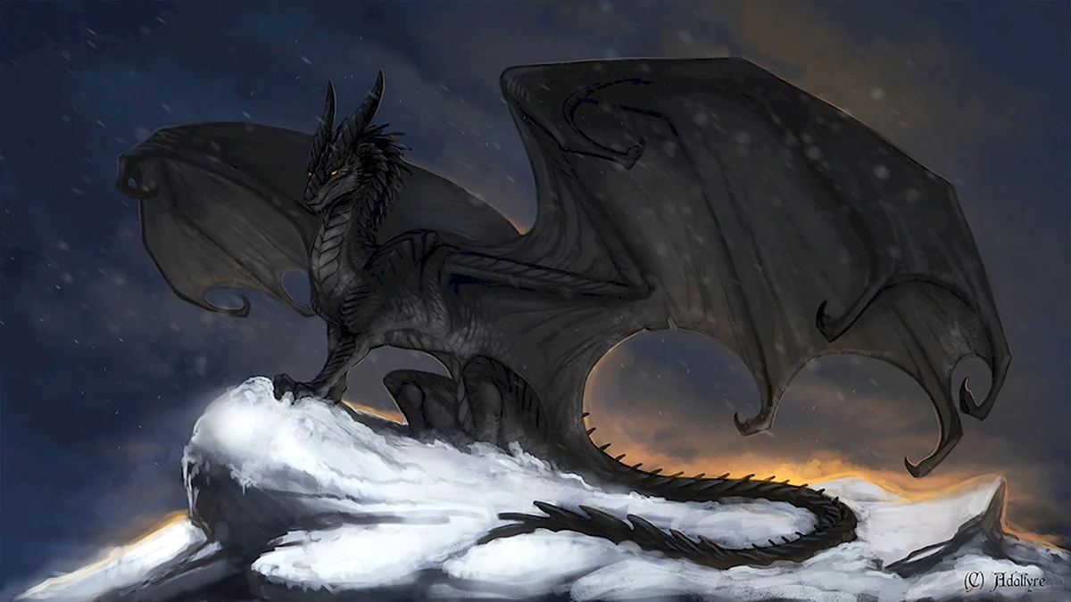 Гебридский черный дракон