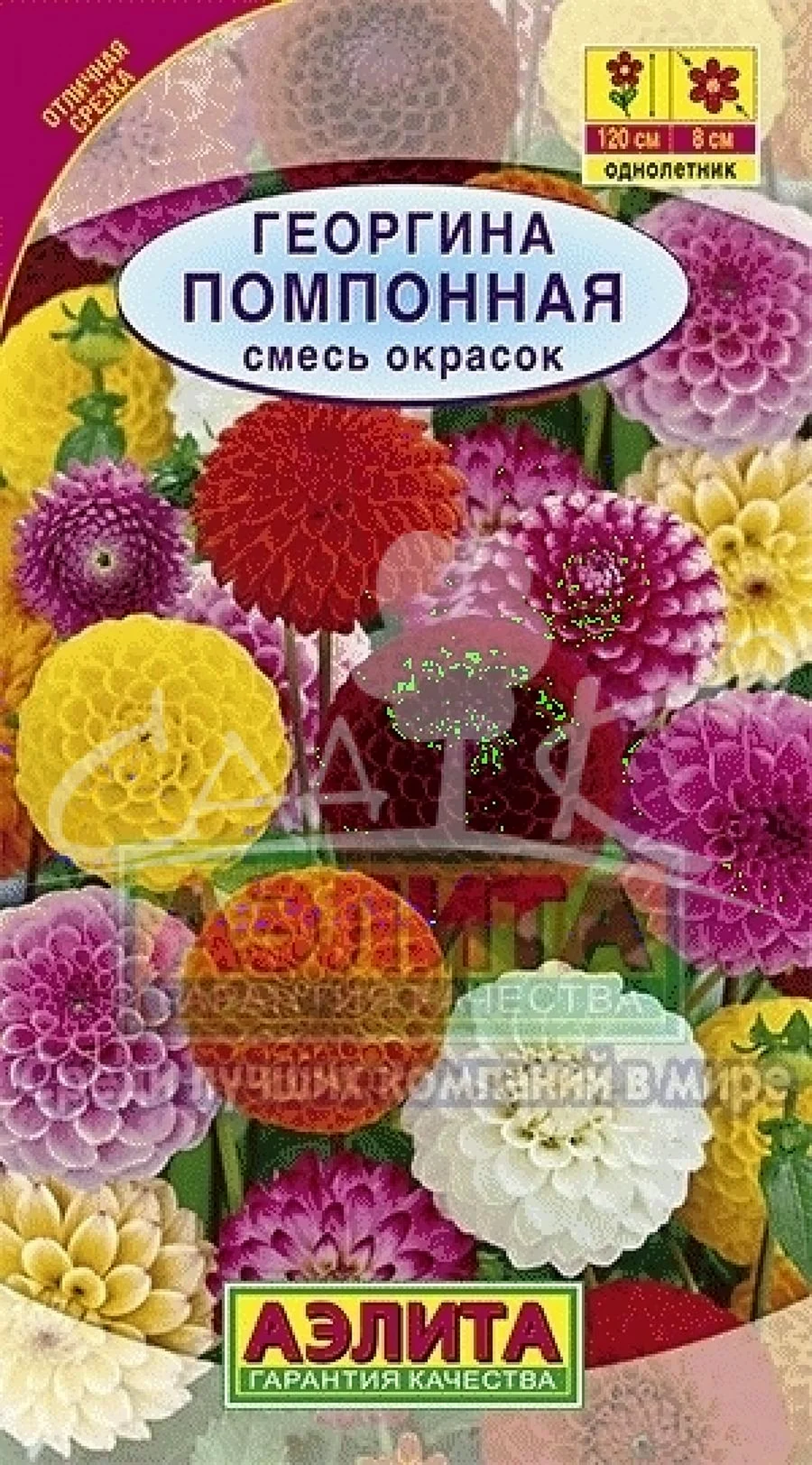 Георгина помпонная смесь семена
