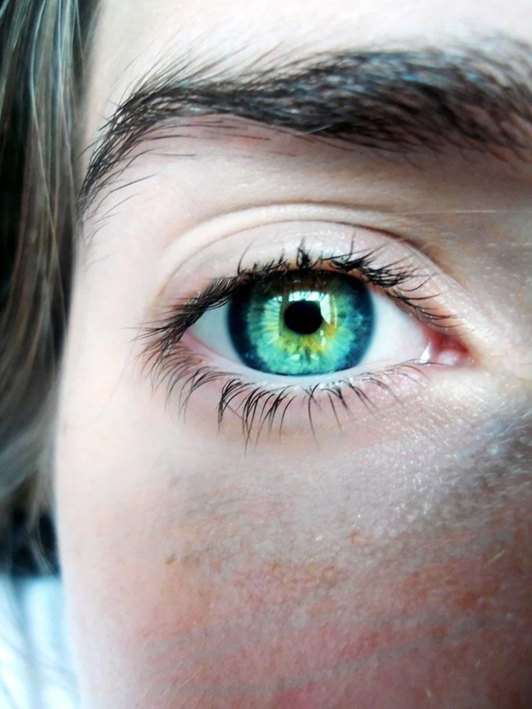 Зеленый цвет глаз самый редкий