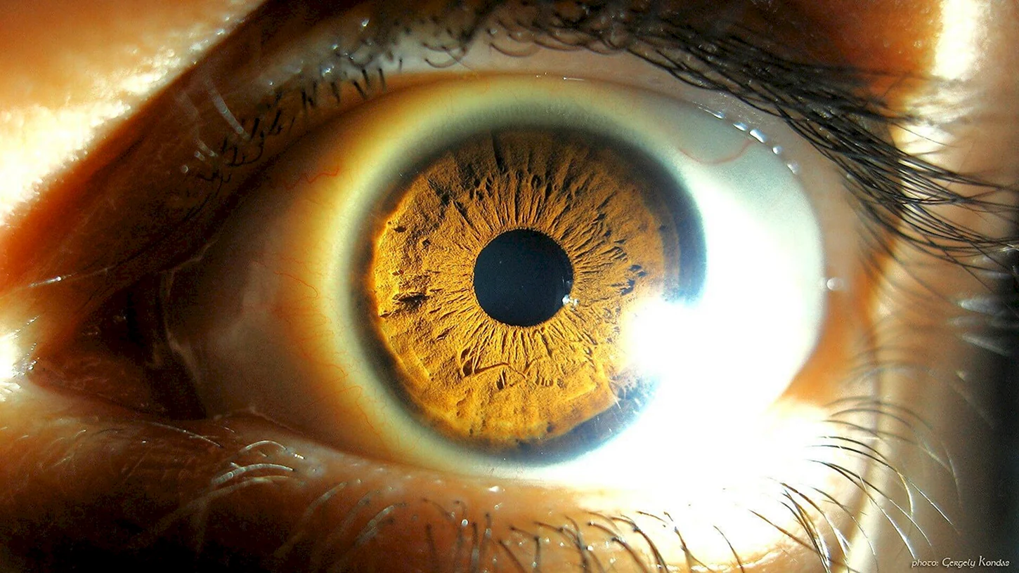 Солнечный глаз