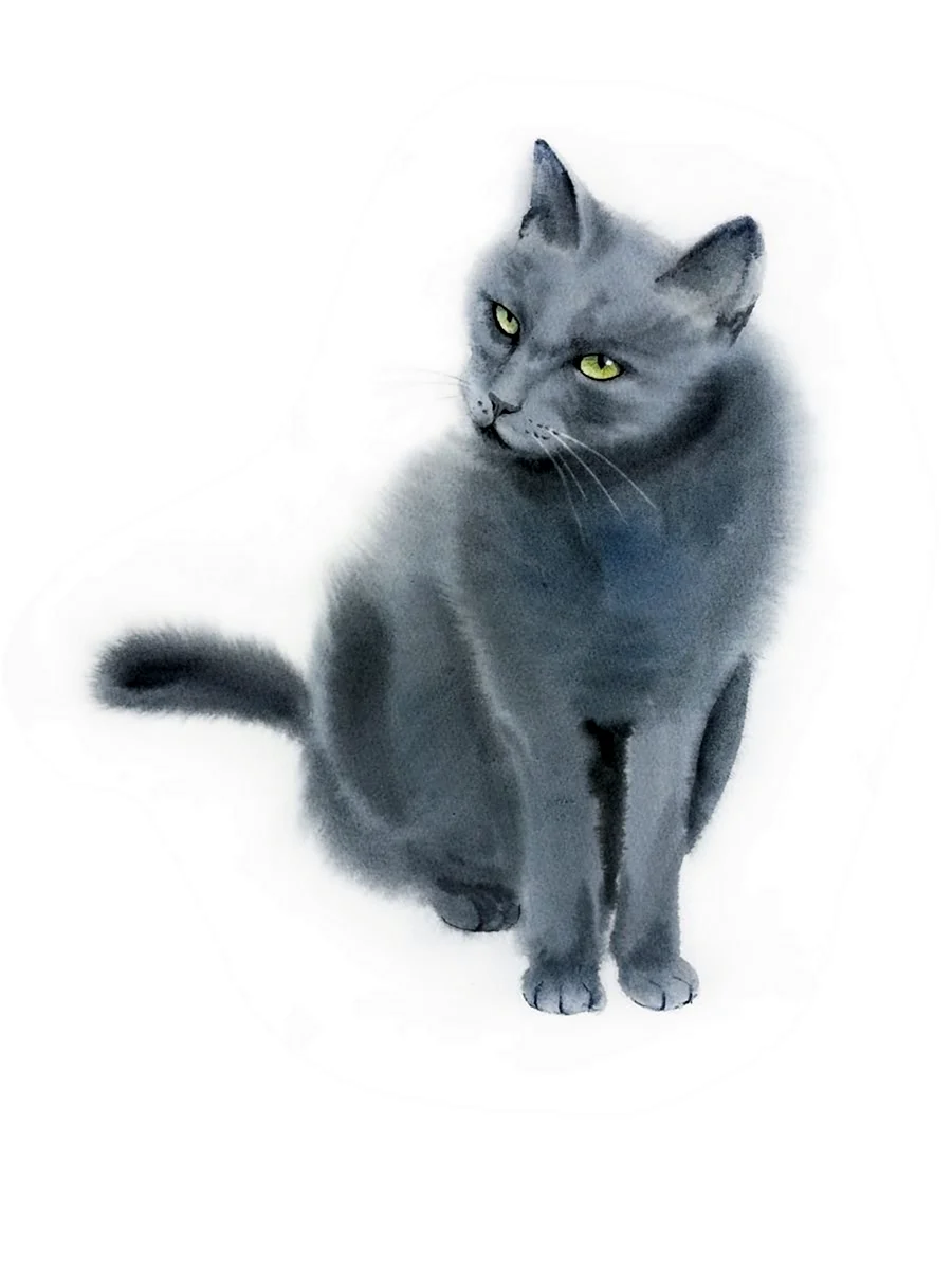 Голубая кошка