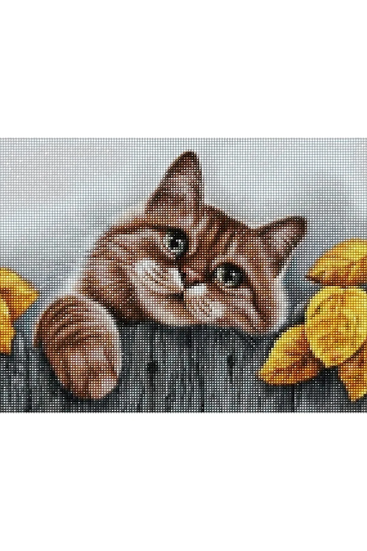 Гранни деревенский кот алмазная мозаика
