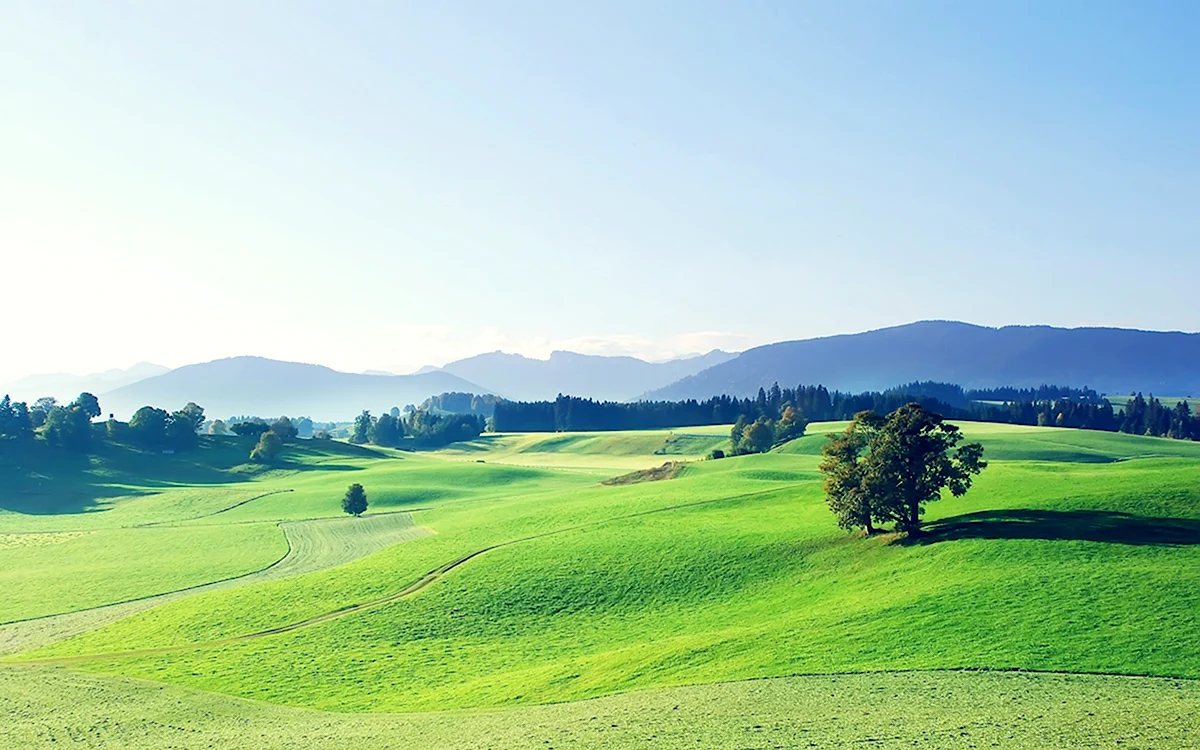 Green Hills зеленые холмы