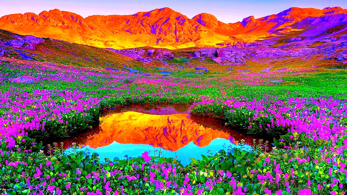 Разноцветный пейзаж