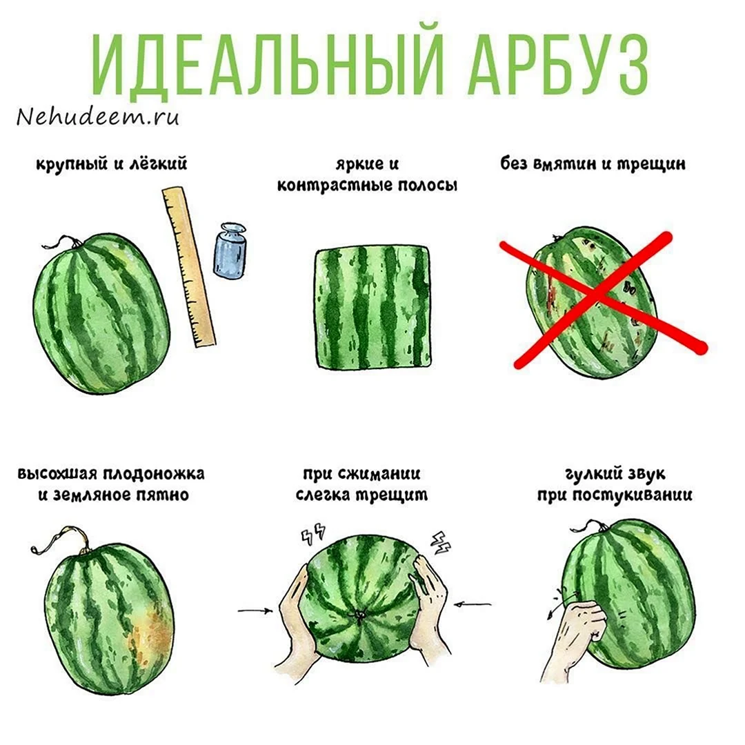 Как выбрать арбуз спелый и сладкий. Как выбрать спелый Арбуз в магазине правильно и сладкий. Как правильно выбрать Арбуз спелый. Как выбрать Арбуз. Как правильно выбрать Арбуз.