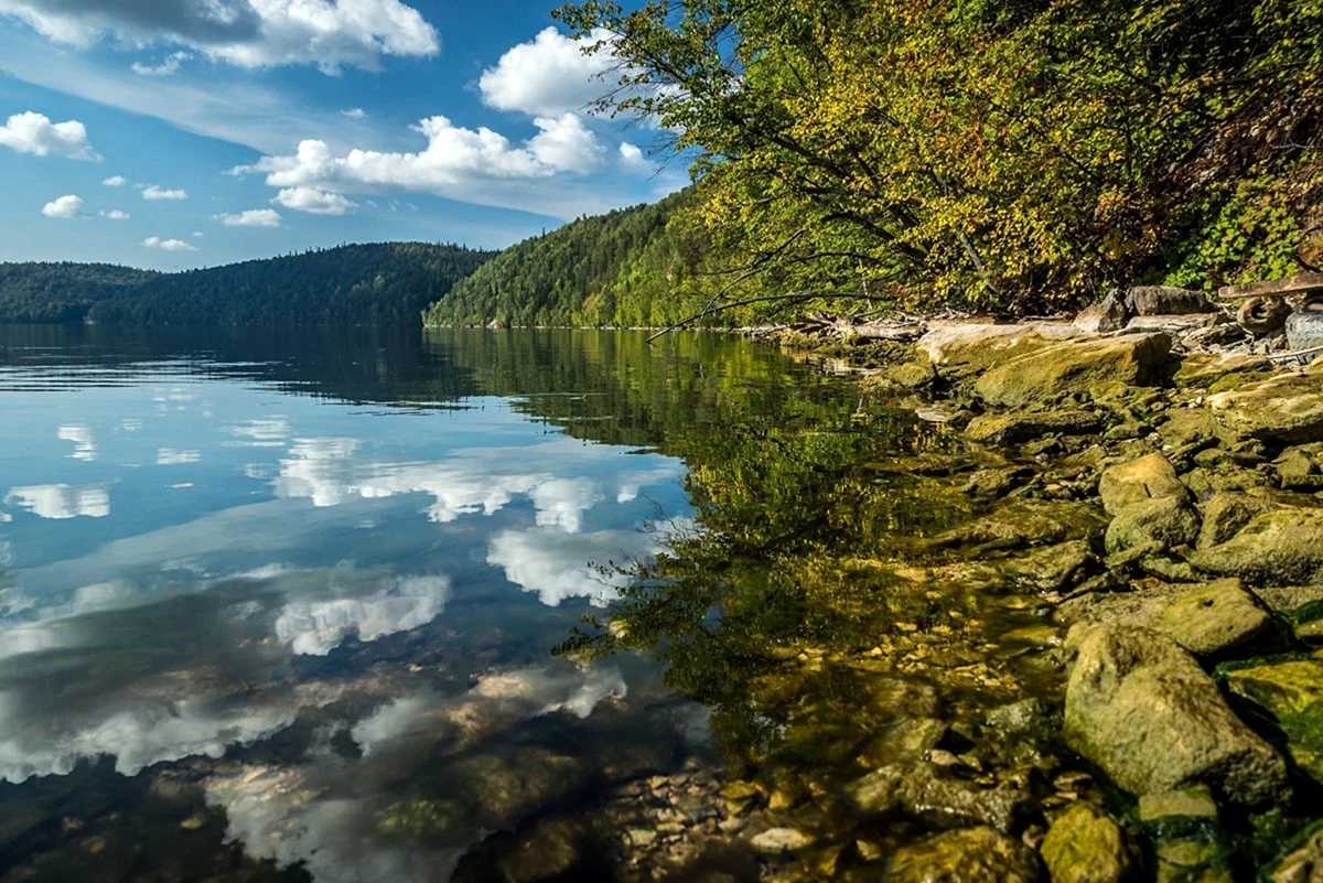 Красивые места павловка (49 фото)