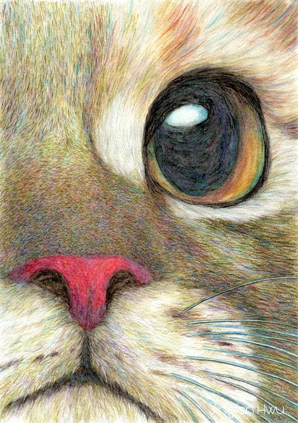 Карандаши цветные животные
