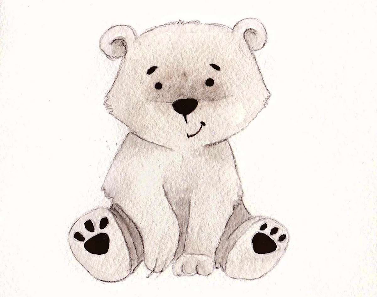 Раскраска медвежонок Изображения – скачать бесплатно на Freepik