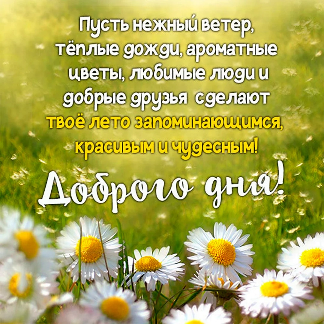 Доброй июньской субботы картинки с пожеланиями. Яркий Солнечный день. Солнечное утро. Солнечного дня и отличного настроени. Теплого солнечного дня.