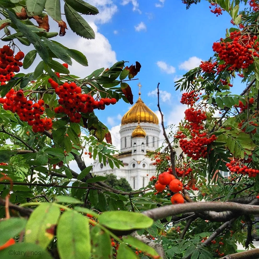 Храм рябина Питер