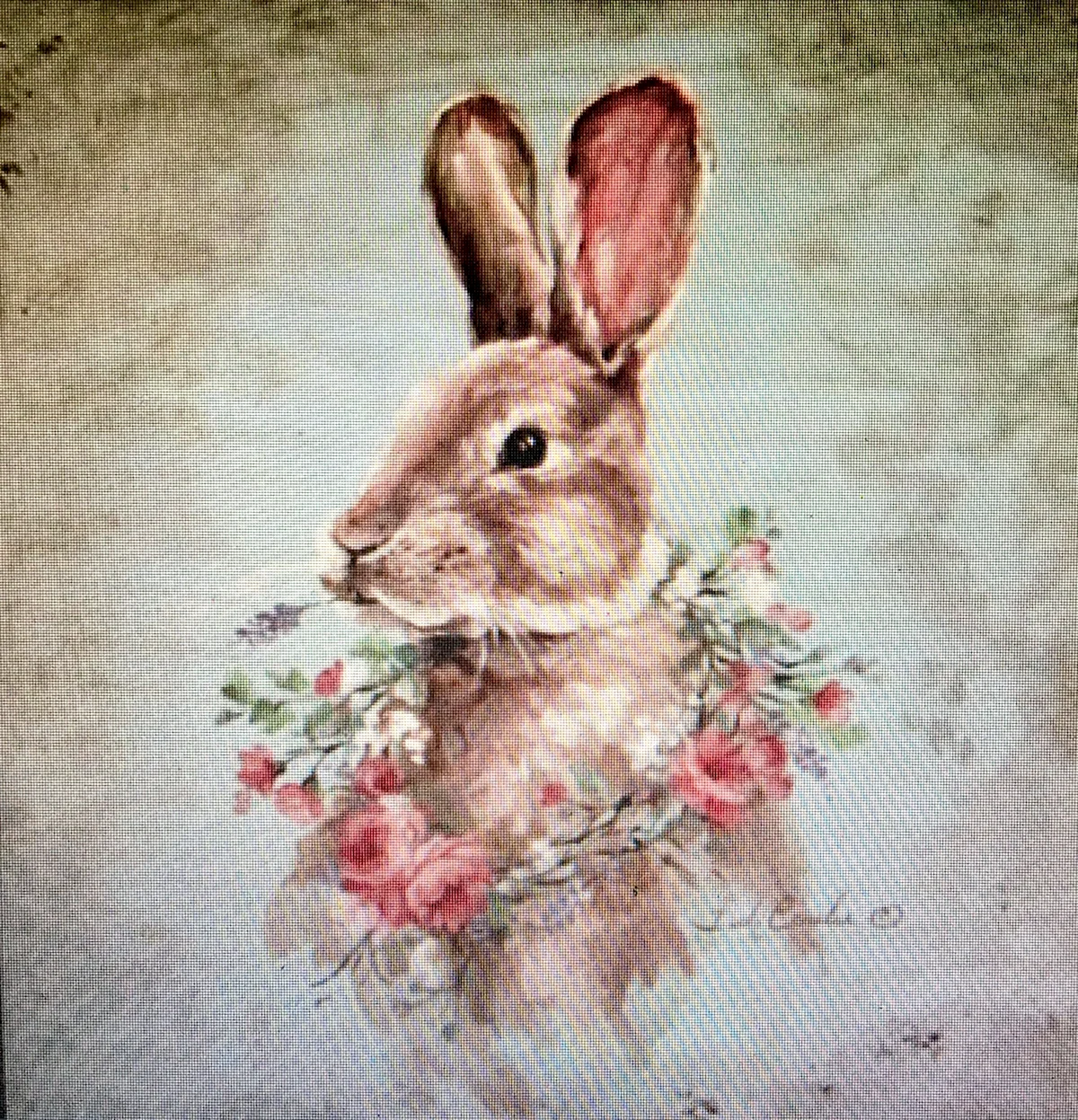 Художник Debi coules