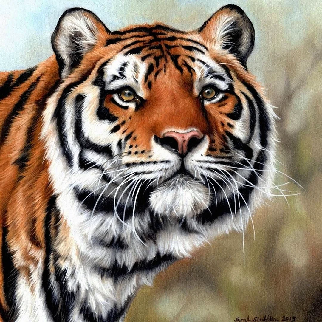 Художник Sarah Stribbling