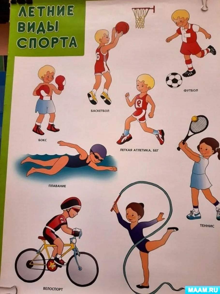 Летние виды спорта (35 фото)