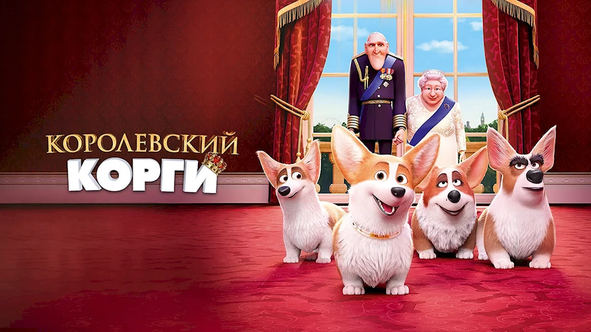 Королевский корги 2019