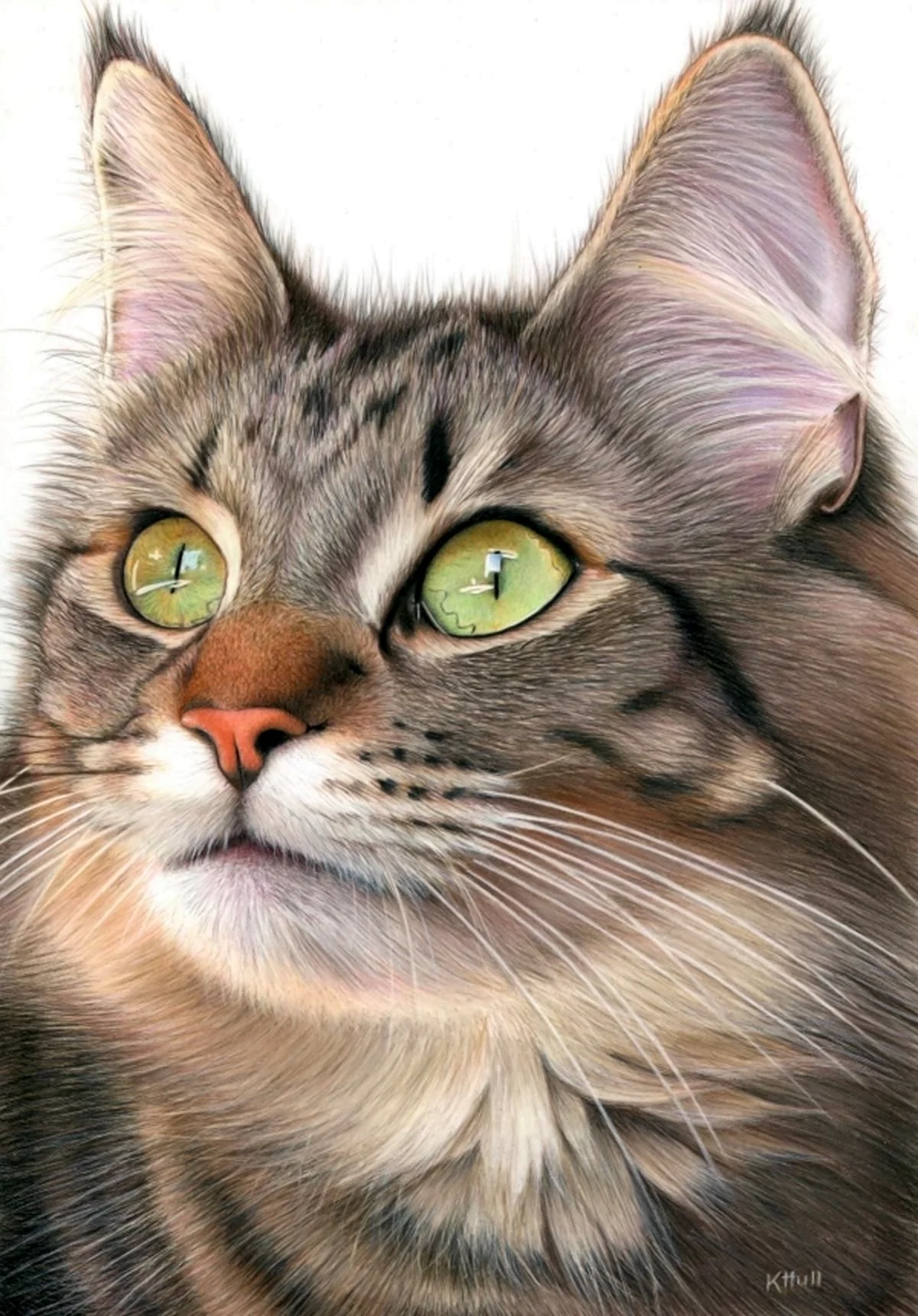 Кошачья мордочка