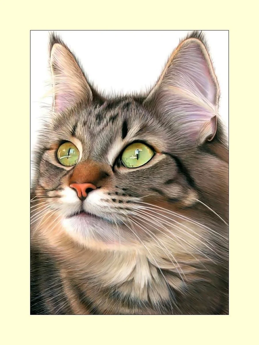 Кошачья мордочка