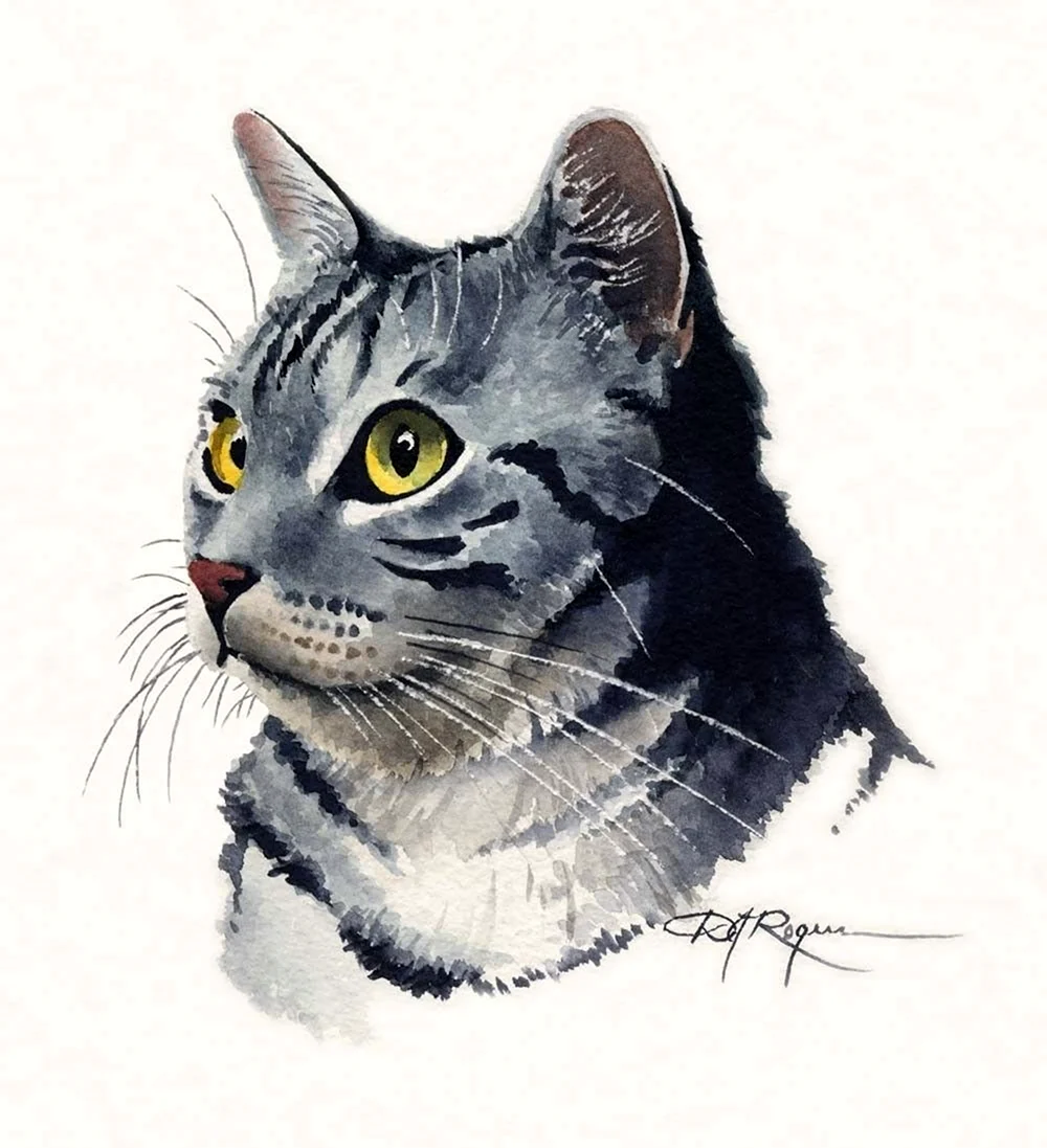 Кошка акварелью
