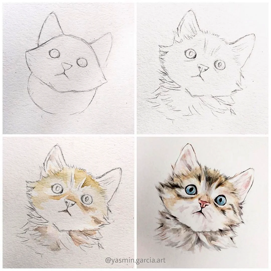 Кошка акварелью поэтапно