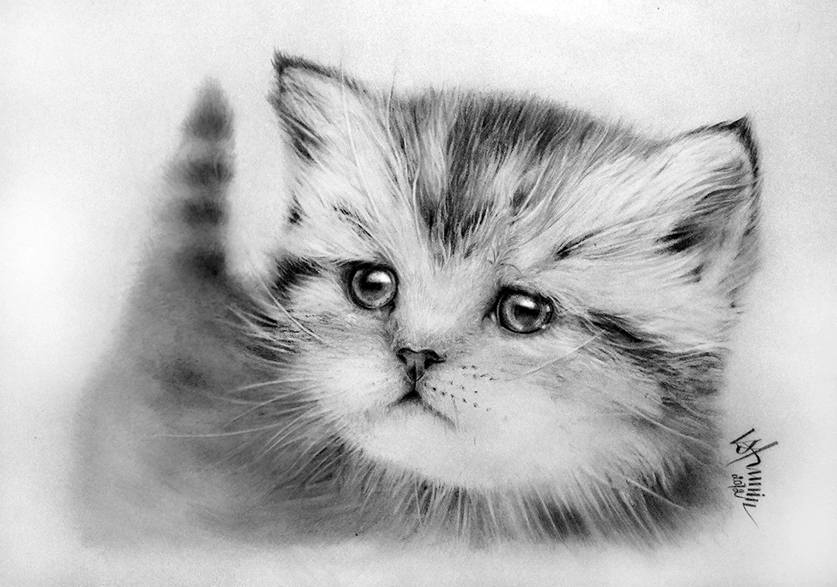 Кошка карандашом