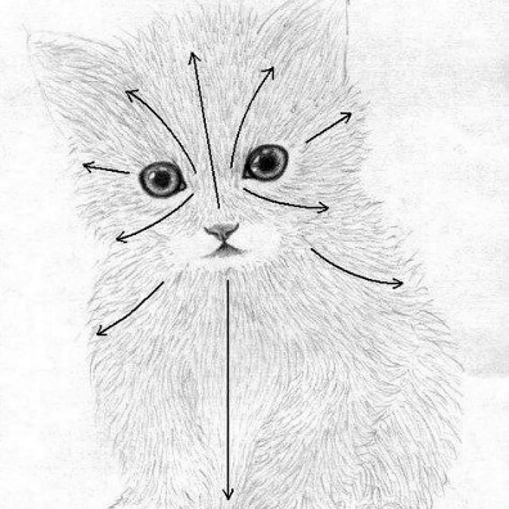 Кошки маленькие рисунки карандашом