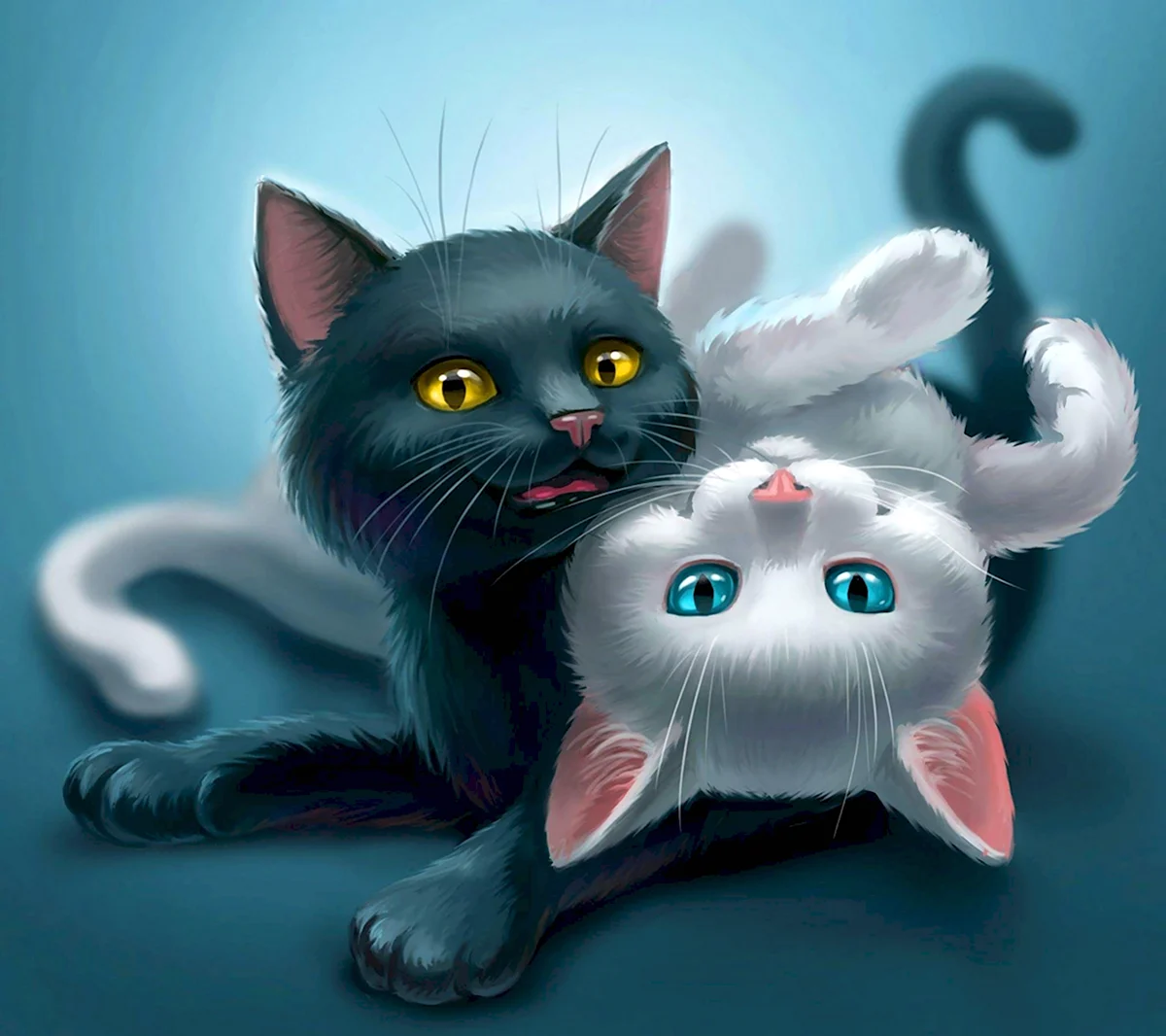 Кот арт