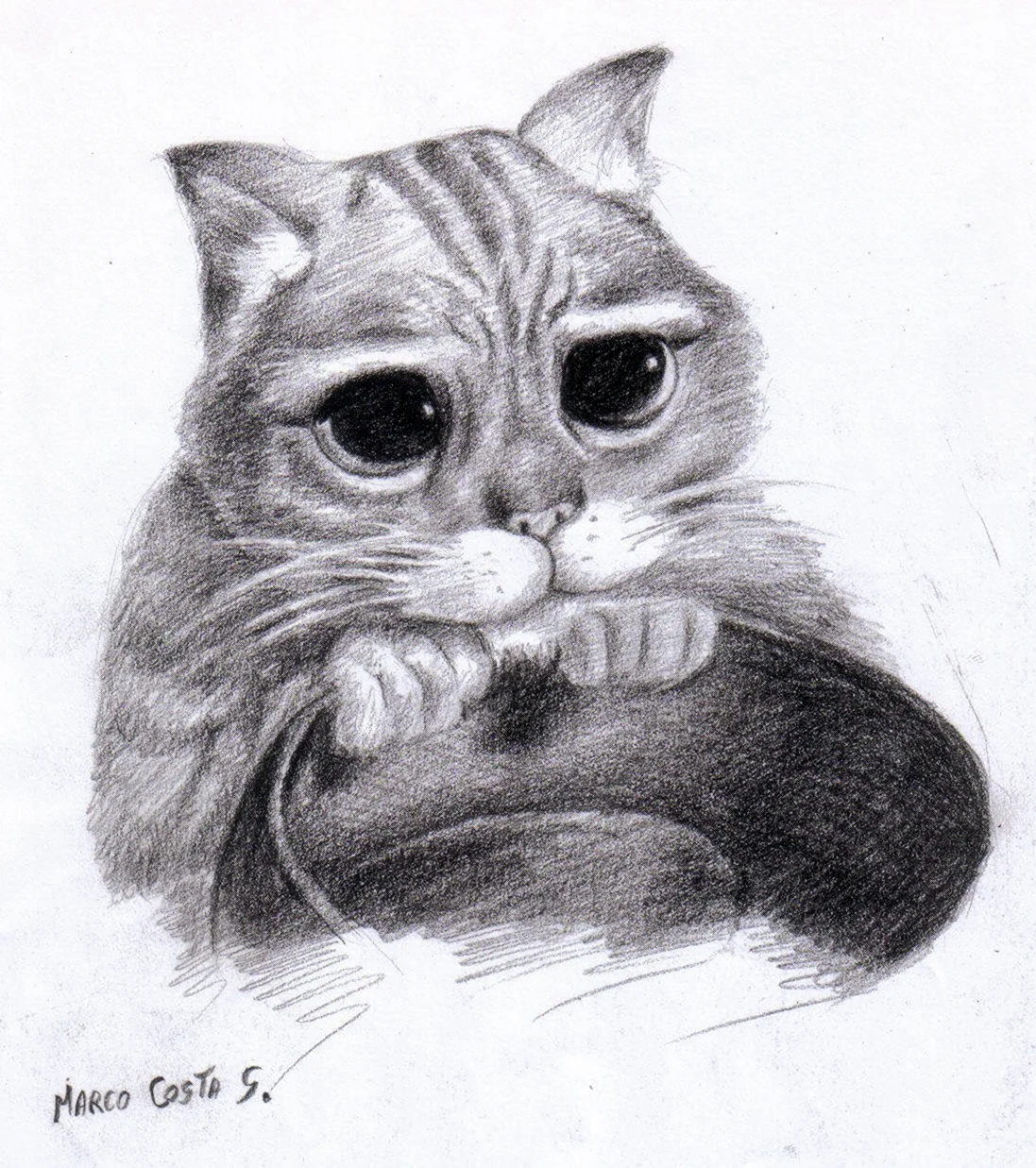 Кот карандашом