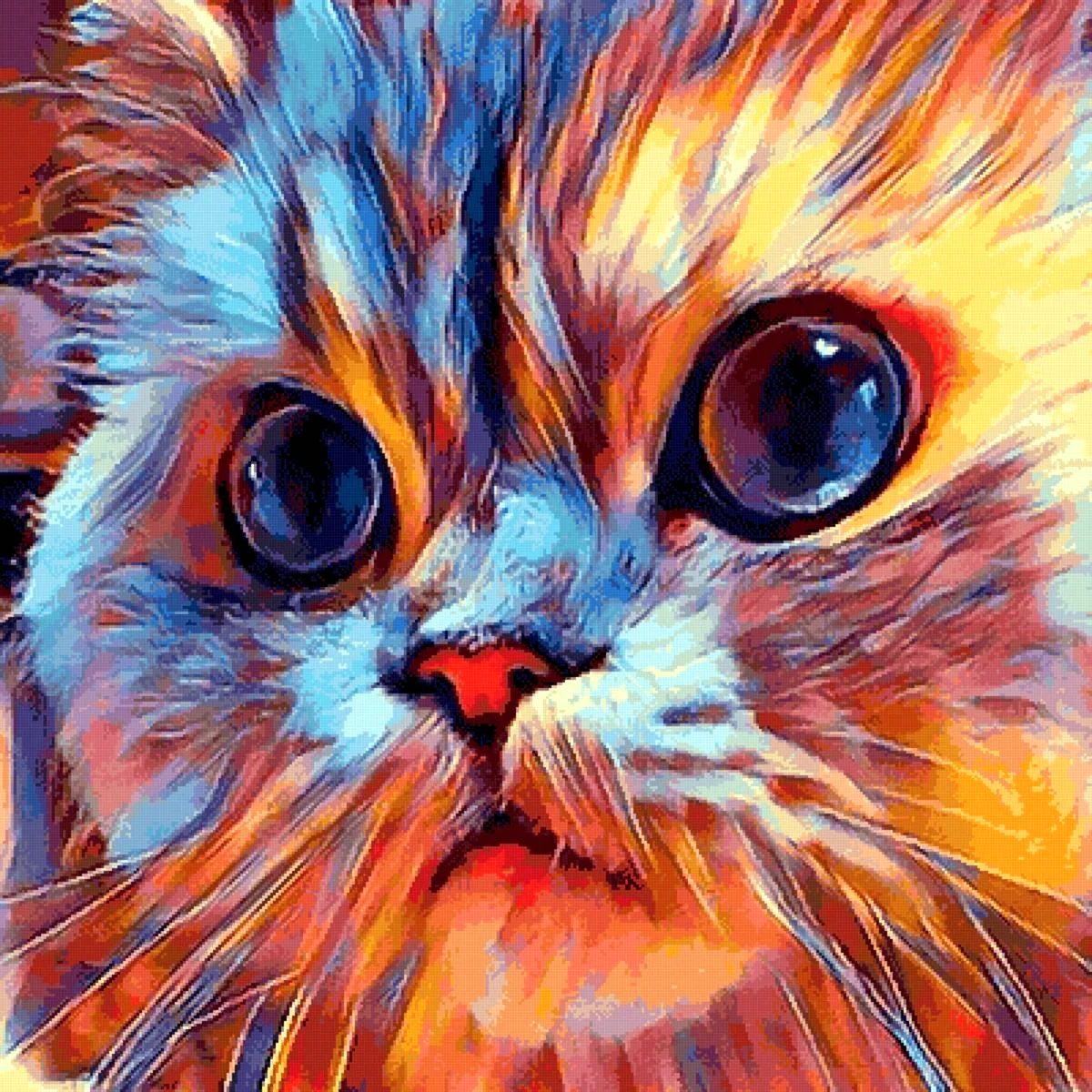 Кот с разноцветной мордой