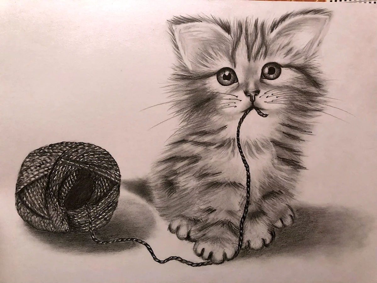 Котенок карандашом