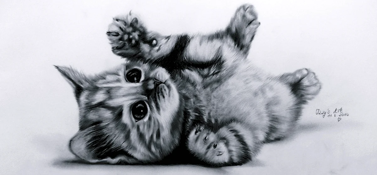 Котенок карандашом